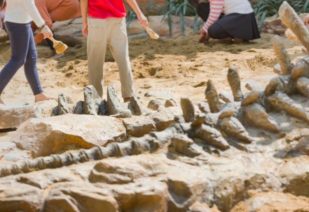 福井で化石発掘体験するならかつやまと恐竜博物館どっちがいい？