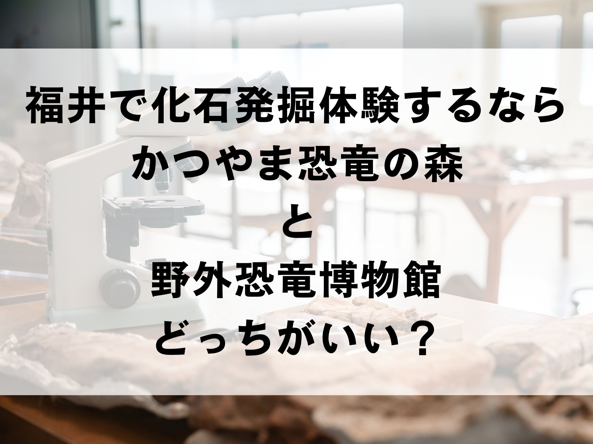 福井で化石発掘体験するならかつやまと恐竜博物館どっちがいい？